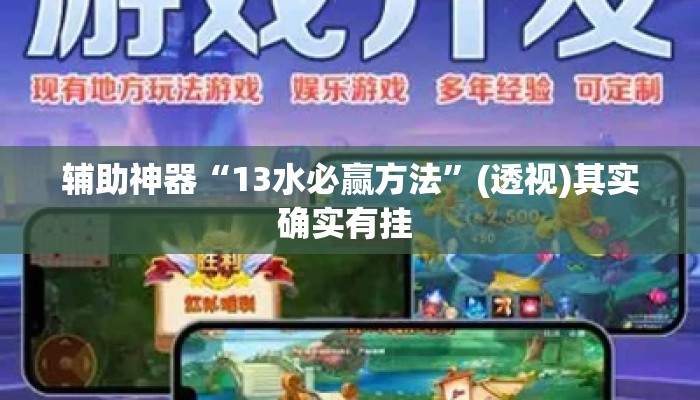 辅助神器“13水必赢方法”(透视)其实确实有挂 