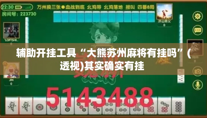 辅助开挂工具“大熊苏州麻将有挂吗”(透视)其实确实有挂 