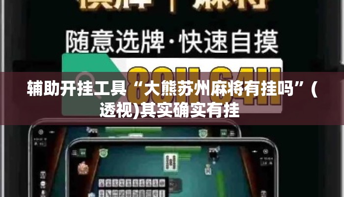 辅助开挂工具“大熊苏州麻将有挂吗”(透视)其实确实有挂 