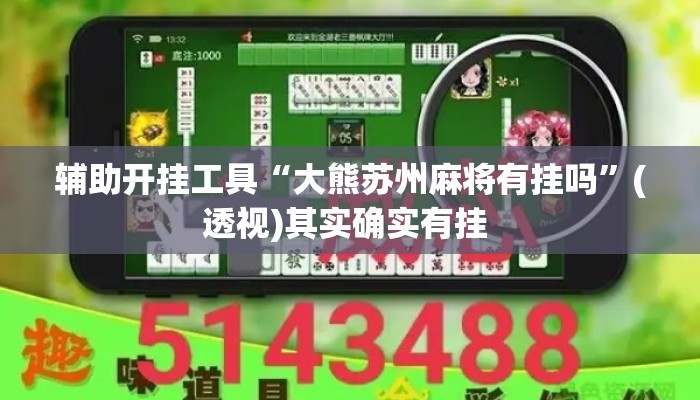 辅助开挂工具“大熊苏州麻将有挂吗”(透视)其实确实有挂 