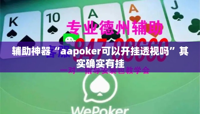 辅助神器“aapoker可以开挂透视吗”其实确实有挂