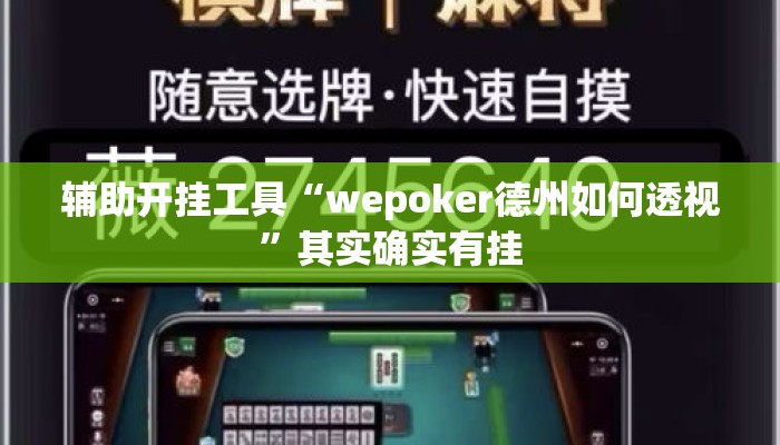 辅助开挂工具“wepoker德州如何透视”其实确实有挂