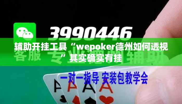 辅助开挂工具“wepoker德州如何透视”其实确实有挂