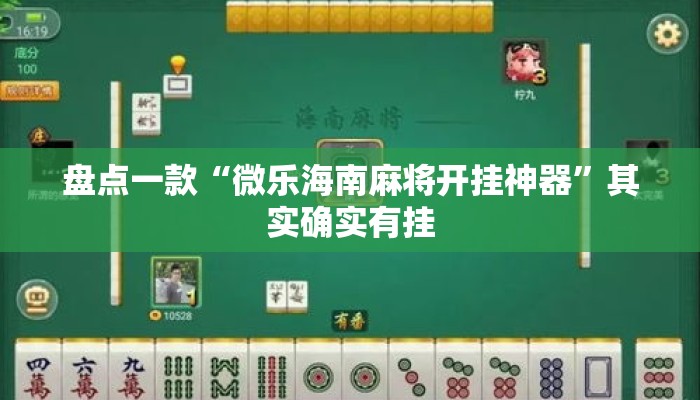 盘点一款“微乐海南麻将开挂神器”其实确实有挂