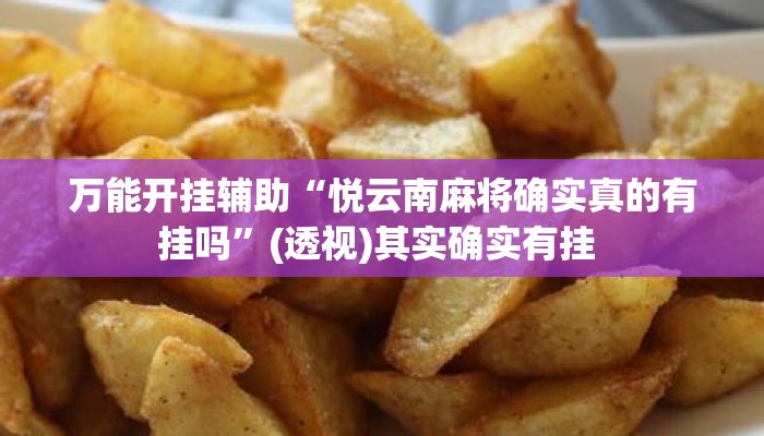 万能开挂辅助“悦云南麻将确实真的有挂吗”(透视)其实确实有挂 