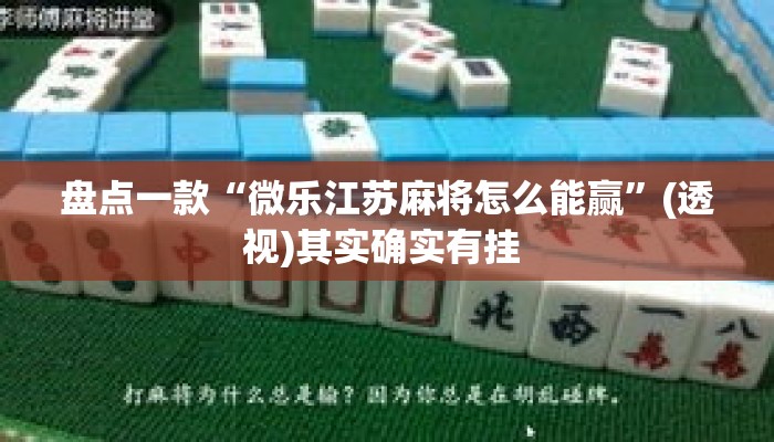 盘点一款“微乐江苏麻将怎么能赢	”(透视)其实确实有挂 