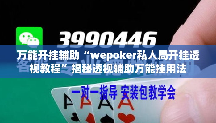 万能开挂辅助“wepoker私人局开挂透视教程”揭秘透视辅助万能挂用法