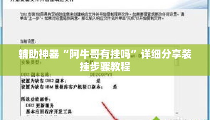 辅助神器“阿牛哥有挂吗	”详细分享装挂步骤教程