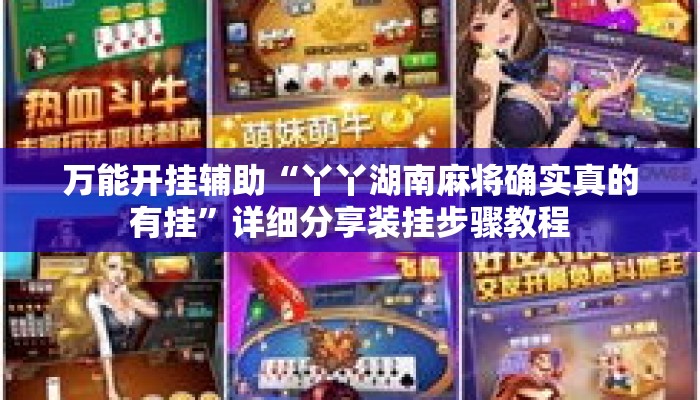 万能开挂辅助“丫丫湖南麻将确实真的有挂”详细分享装挂步骤教程