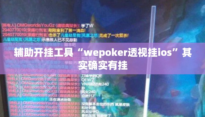 辅助开挂工具“wepoker透视挂ios”其实确实有挂