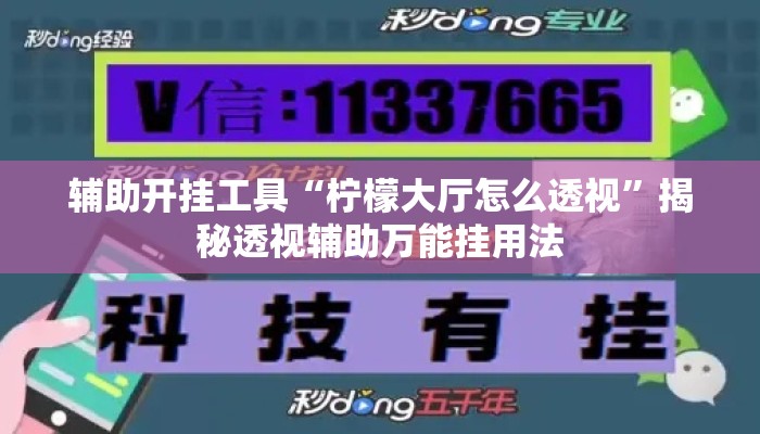 辅助开挂工具“柠檬大厅怎么透视”揭秘透视辅助万能挂用法