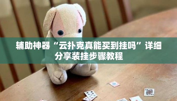 辅助神器“云扑克真能买到挂吗”详细分享装挂步骤教程