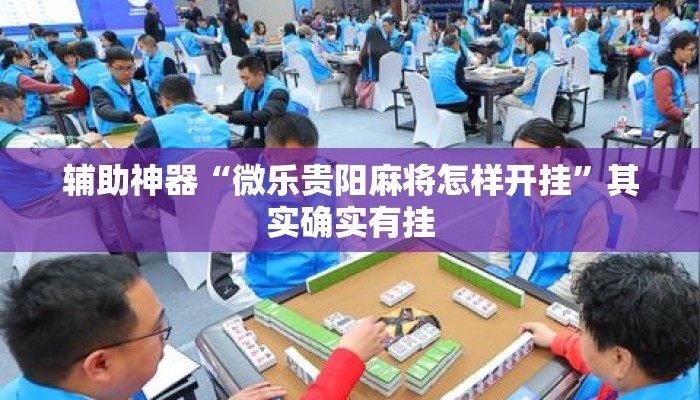 辅助神器“微乐贵阳麻将怎样开挂”其实确实有挂