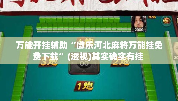 万能开挂辅助“微乐河北麻将万能挂免费下载”(透视)其实确实有挂 