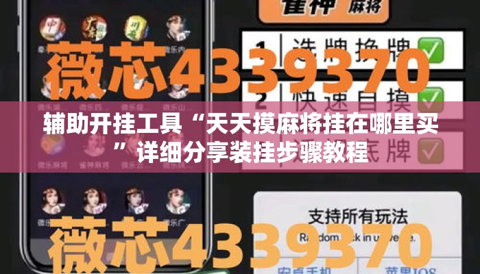 辅助开挂工具“天天摸麻将挂在哪里买”详细分享装挂步骤教程