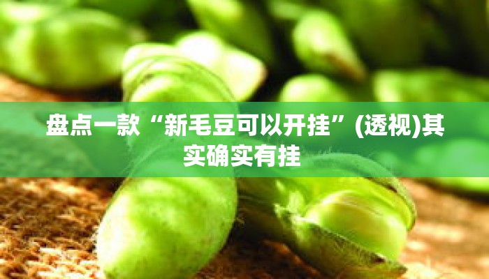 盘点一款“新毛豆可以开挂”(透视)其实确实有挂 
