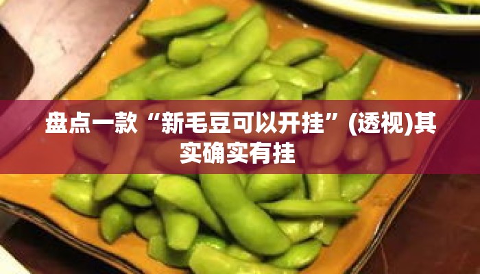 盘点一款“新毛豆可以开挂”(透视)其实确实有挂 