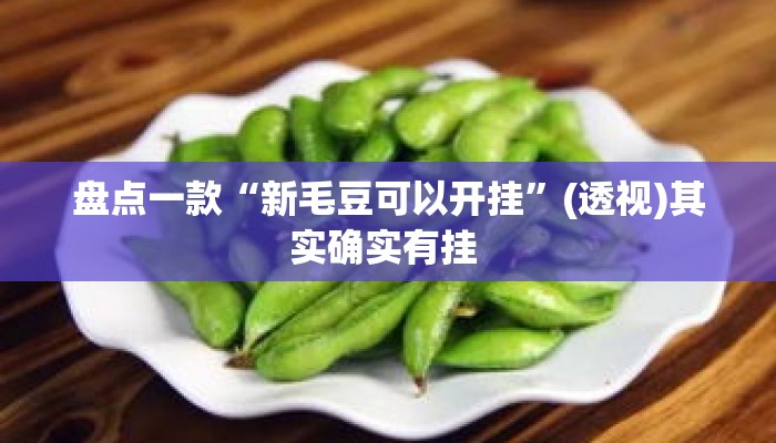 盘点一款“新毛豆可以开挂”(透视)其实确实有挂 