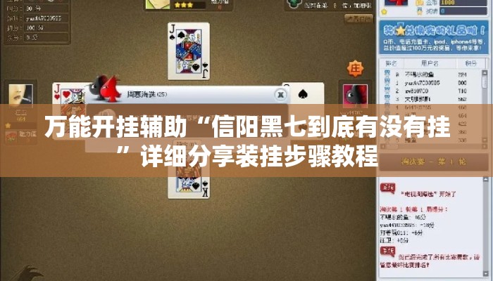 万能开挂辅助“信阳黑七到底有没有挂”详细分享装挂步骤教程