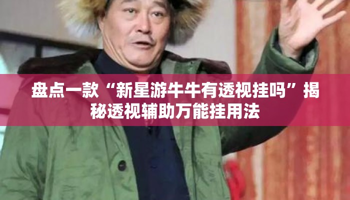 盘点一款“新星游牛牛有透视挂吗”揭秘透视辅助万能挂用法