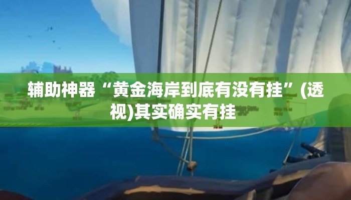 辅助神器“黄金海岸到底有没有挂”(透视)其实确实有挂 