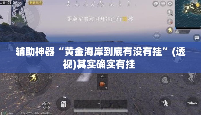辅助神器“黄金海岸到底有没有挂”(透视)其实确实有挂 