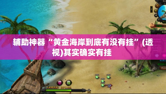 辅助神器“黄金海岸到底有没有挂”(透视)其实确实有挂 