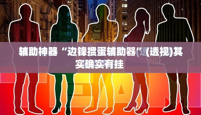 辅助神器“边锋掼蛋辅助器	”(透视)其实确实有挂 