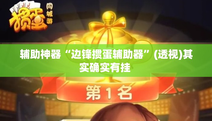 辅助神器“边锋掼蛋辅助器”(透视)其实确实有挂 