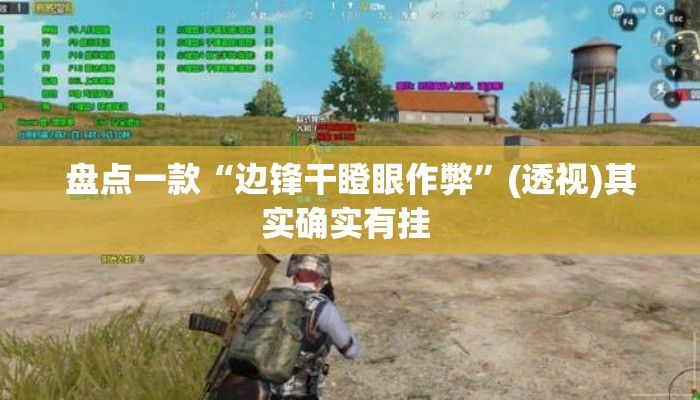 盘点一款“边锋干瞪眼作弊”(透视)其实确实有挂 