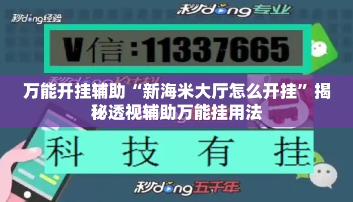 万能开挂辅助“新海米大厅怎么开挂”揭秘透视辅助万能挂用法