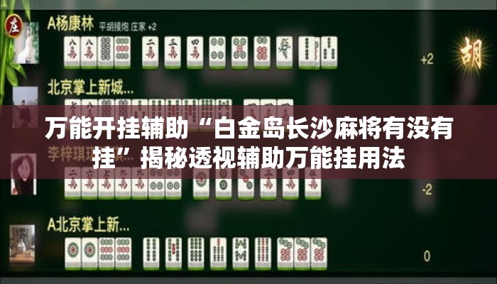 万能开挂辅助“白金岛长沙麻将有没有挂”揭秘透视辅助万能挂用法
