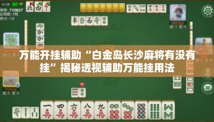 万能开挂辅助“白金岛长沙麻将有没有挂”揭秘透视辅助万能挂用法