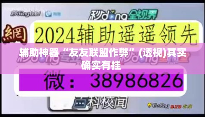 辅助神器“友友联盟作弊”(透视)其实确实有挂 