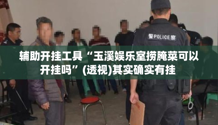 辅助开挂工具“玉溪娱乐室捞腌菜可以开挂吗”(透视)其实确实有挂 
