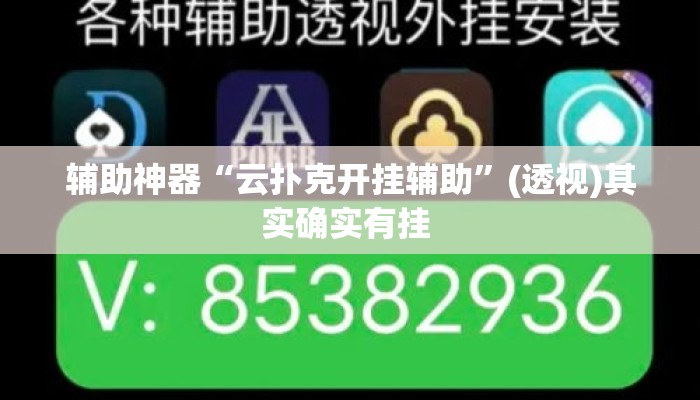 辅助神器“云扑克开挂辅助”(透视)其实确实有挂 