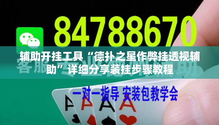 辅助开挂工具“德扑之星作弊挂透视辅助”详细分享装挂步骤教程