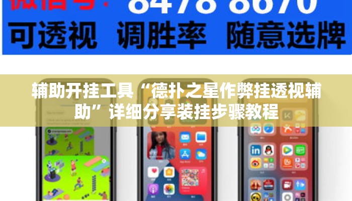 辅助开挂工具“德扑之星作弊挂透视辅助	”详细分享装挂步骤教程