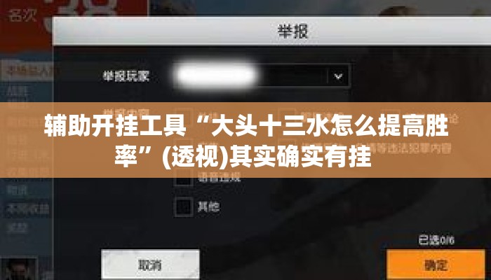 辅助开挂工具“大头十三水怎么提高胜率”(透视)其实确实有挂 