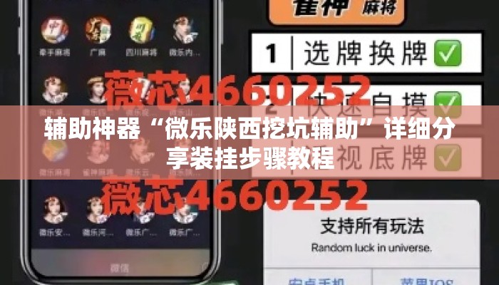 辅助神器“微乐陕西挖坑辅助”详细分享装挂步骤教程