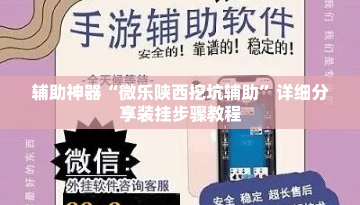 辅助神器“微乐陕西挖坑辅助”详细分享装挂步骤教程