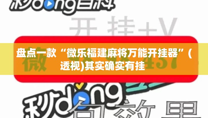 盘点一款“微乐福建麻将万能开挂器”(透视)其实确实有挂 