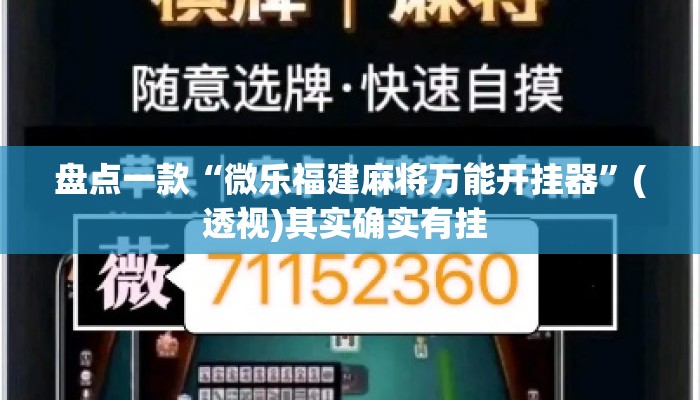 盘点一款“微乐福建麻将万能开挂器	”(透视)其实确实有挂 