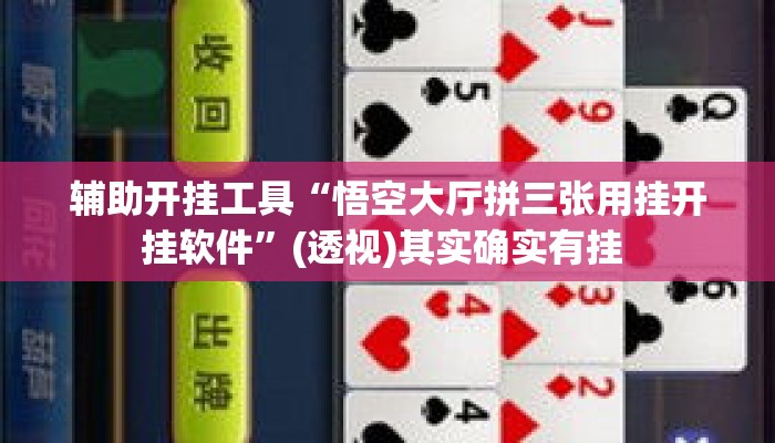 辅助开挂工具“悟空大厅拼三张用挂开挂软件”(透视)其实确实有挂 