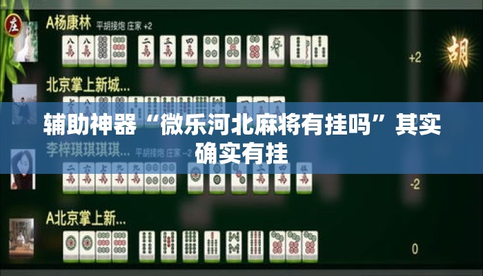辅助神器“微乐河北麻将有挂吗	”其实确实有挂