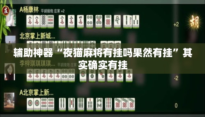 辅助神器“夜猫麻将有挂吗果然有挂”其实确实有挂