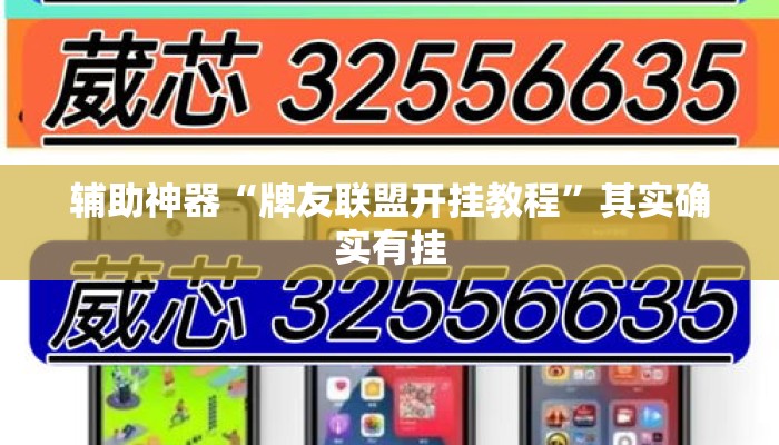 辅助神器“牌友联盟开挂教程”其实确实有挂
