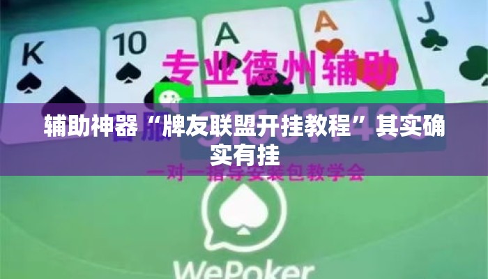辅助神器“牌友联盟开挂教程”其实确实有挂