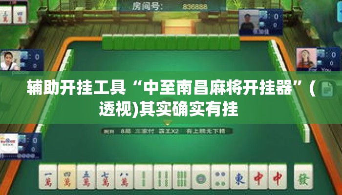 辅助开挂工具“中至南昌麻将开挂器”(透视)其实确实有挂 