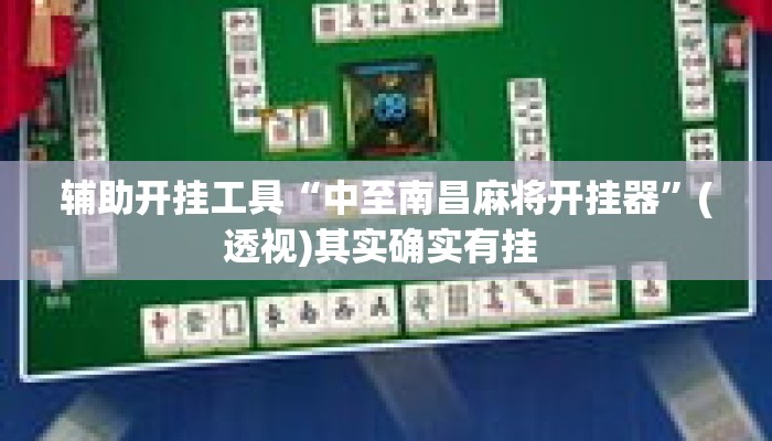 辅助开挂工具“中至南昌麻将开挂器	”(透视)其实确实有挂 
